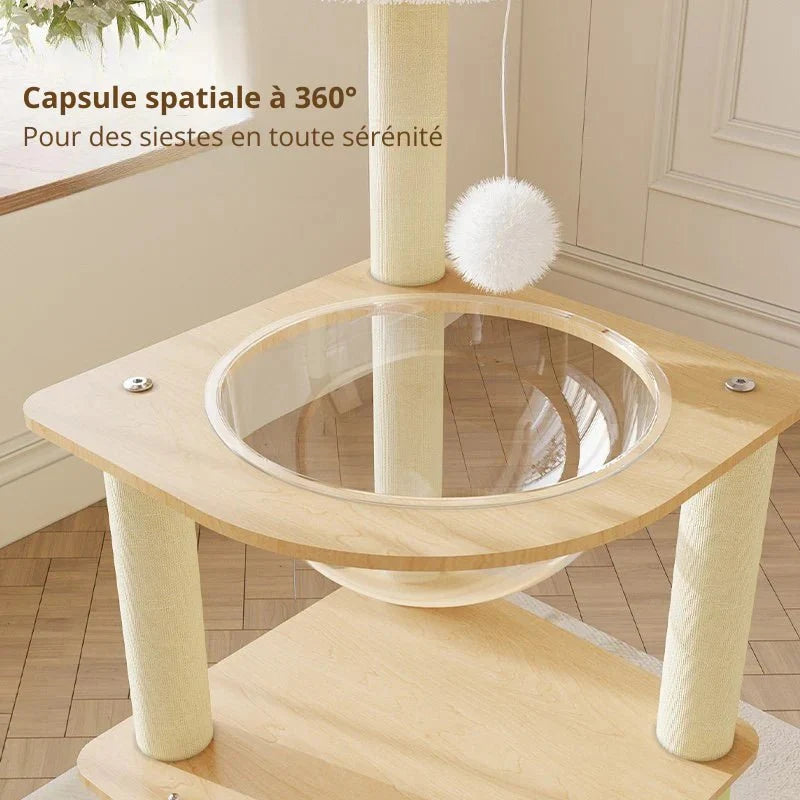 Arbre à Chat Compact - Griffoir et Hamac Inclus