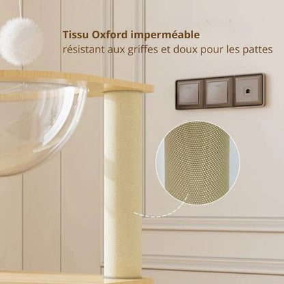 Arbre à Chat Compact - Griffoir et Hamac Inclus
