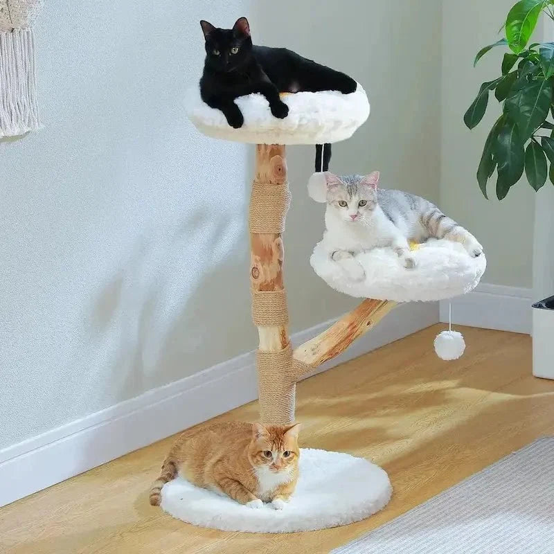 Arbre à Chat Design avec Griffoir Sisal
