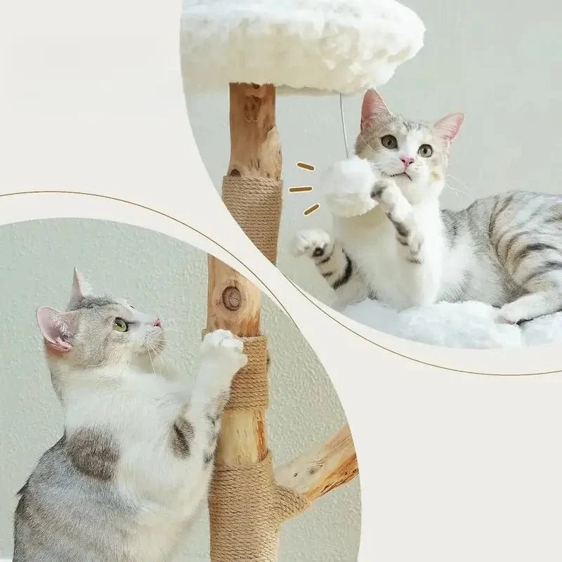 Arbre à Chat Design avec Griffoir Sisal