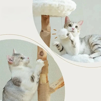 Arbre à Chat Design avec Griffoir Sisal