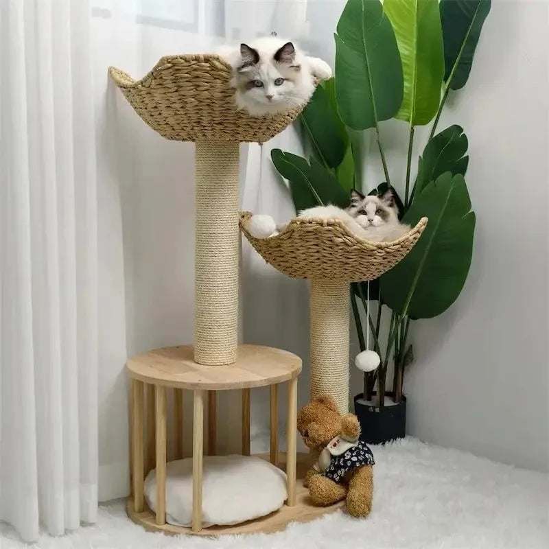 Arbre à Chat Design Luxe et Griffoir