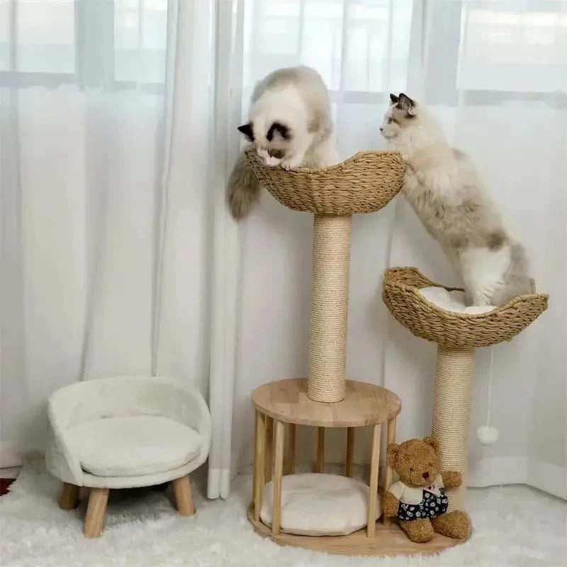 Arbre à Chat Design Luxe et Griffoir
