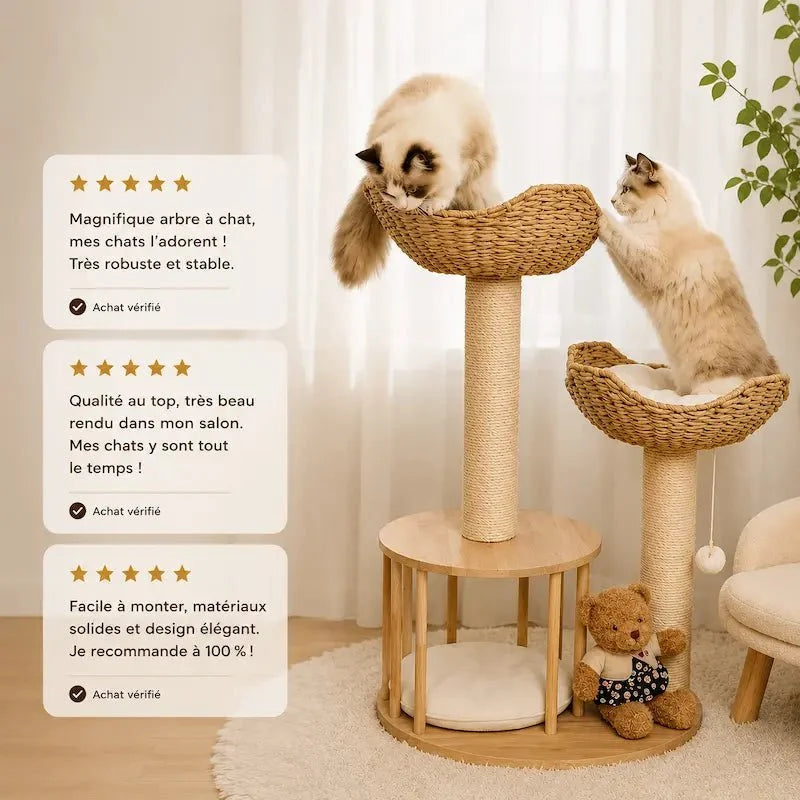 Arbre à Chat Design Luxe et Griffoir