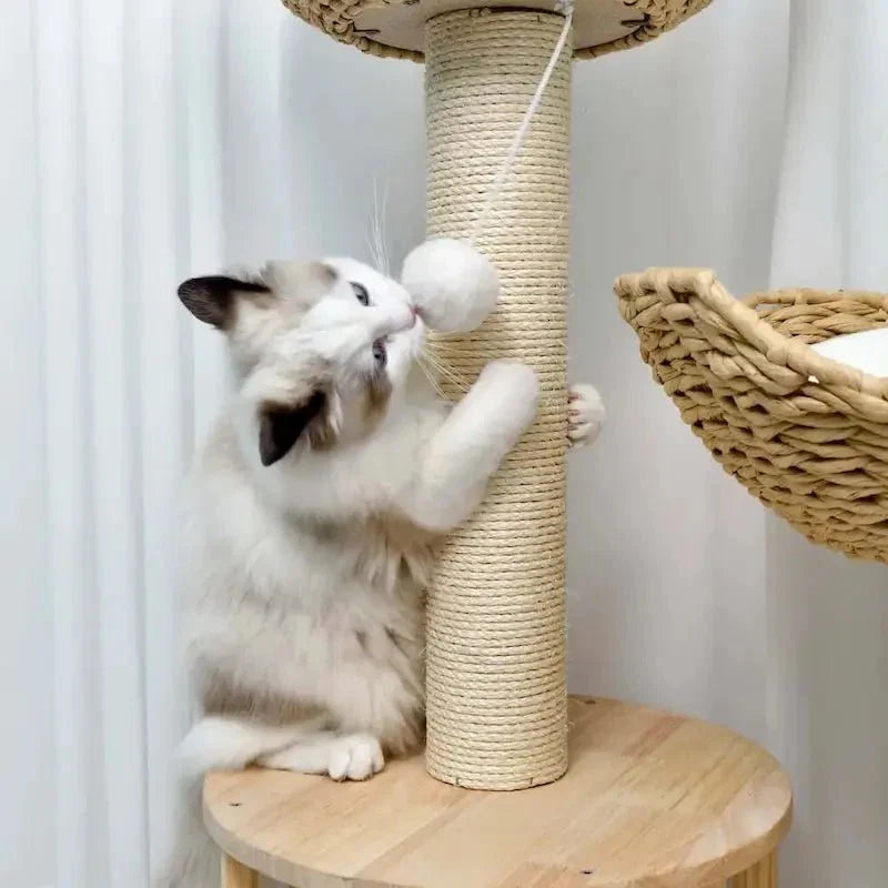 Arbre à Chat Design Luxe et Griffoir