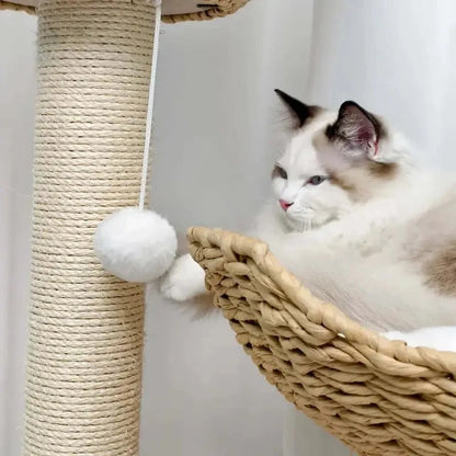 Arbre à Chat Design Luxe et Griffoir