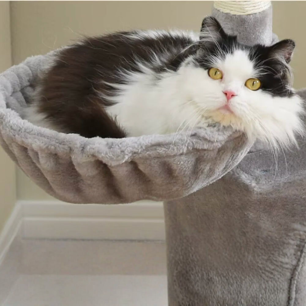 Arbre à Chat Hamac 106cm Bois | Gris | Perchoir Du Chat