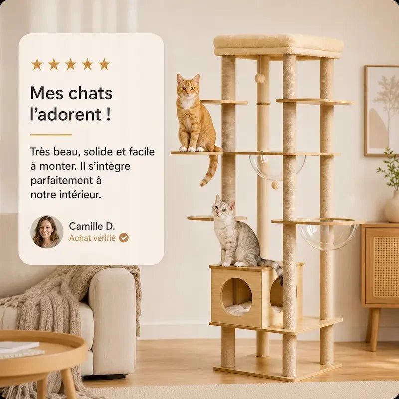 Arbre à Chat avec Hamac et Perchoir - Bois