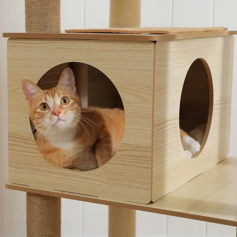 Arbre à Chat avec Hamac et Perchoir - Bois