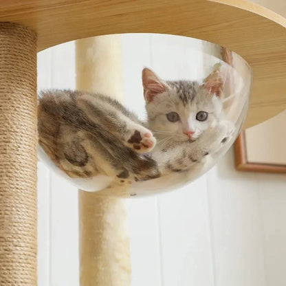 Arbre à Chat avec Hamac et Perchoir - Bois
