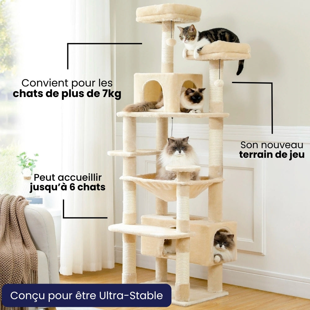 Arbre à Chat Maine Coon 184cm Hamac Bois | Beige | Perchoir Du Chat