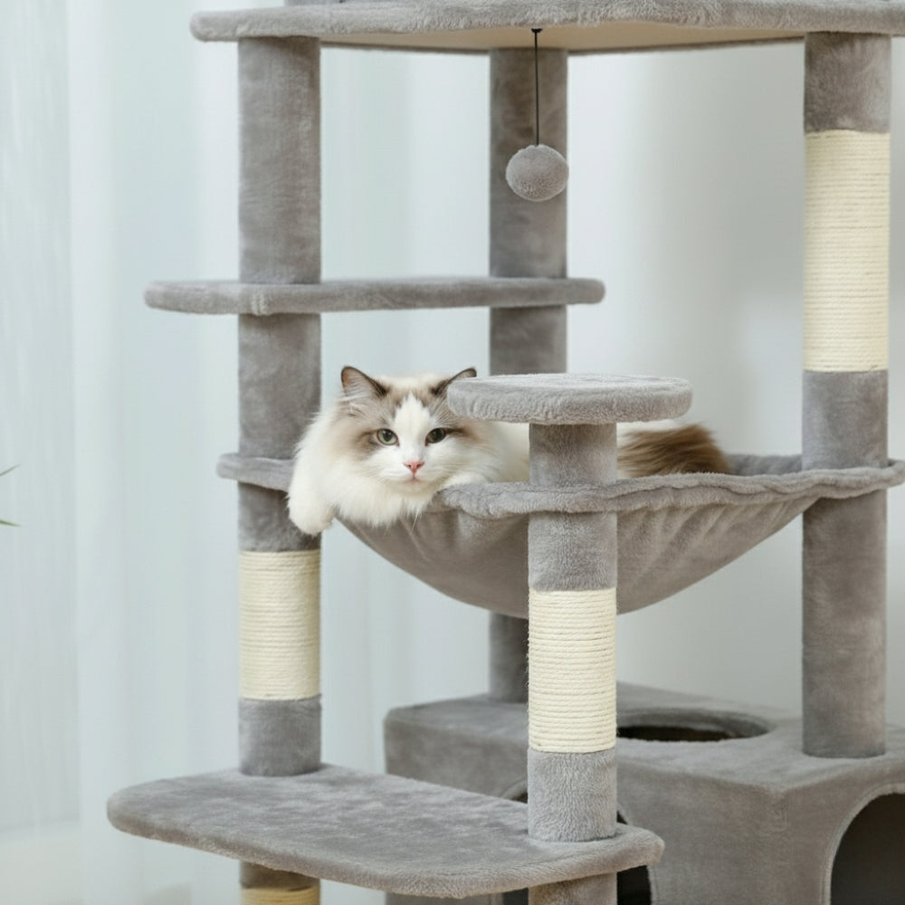 Arbre à Chat Maine Coon 184cm Hamac Bois | Gris | Perchoir Du Chat