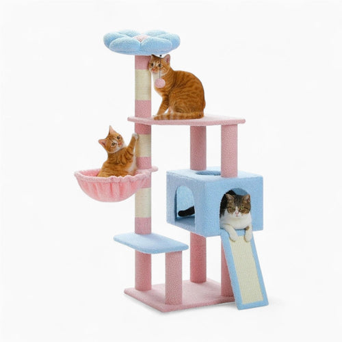 Arbre à Chat Maine Coon Hamac Bois | Bleu Rose | Perchoir Du Chat
