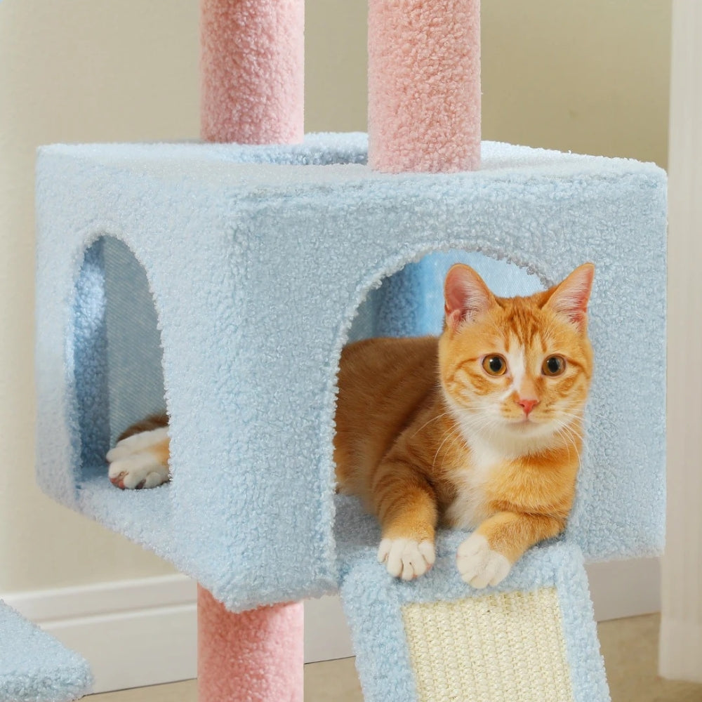 Arbre à Chat Maine Coon Hamac Bois | Bleu Rose | Perchoir Du Chat