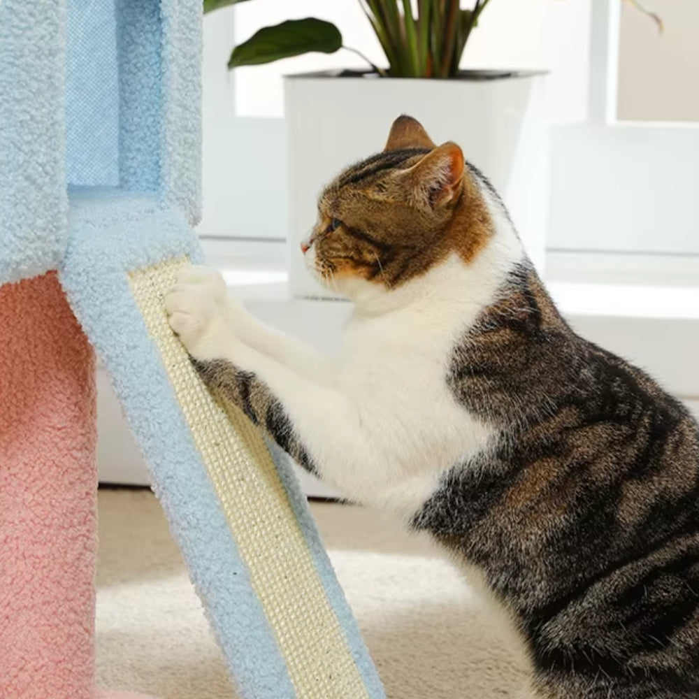 Arbre à Chat Maine Coon Hamac Bois | Bleu Rose | Perchoir Du Chat