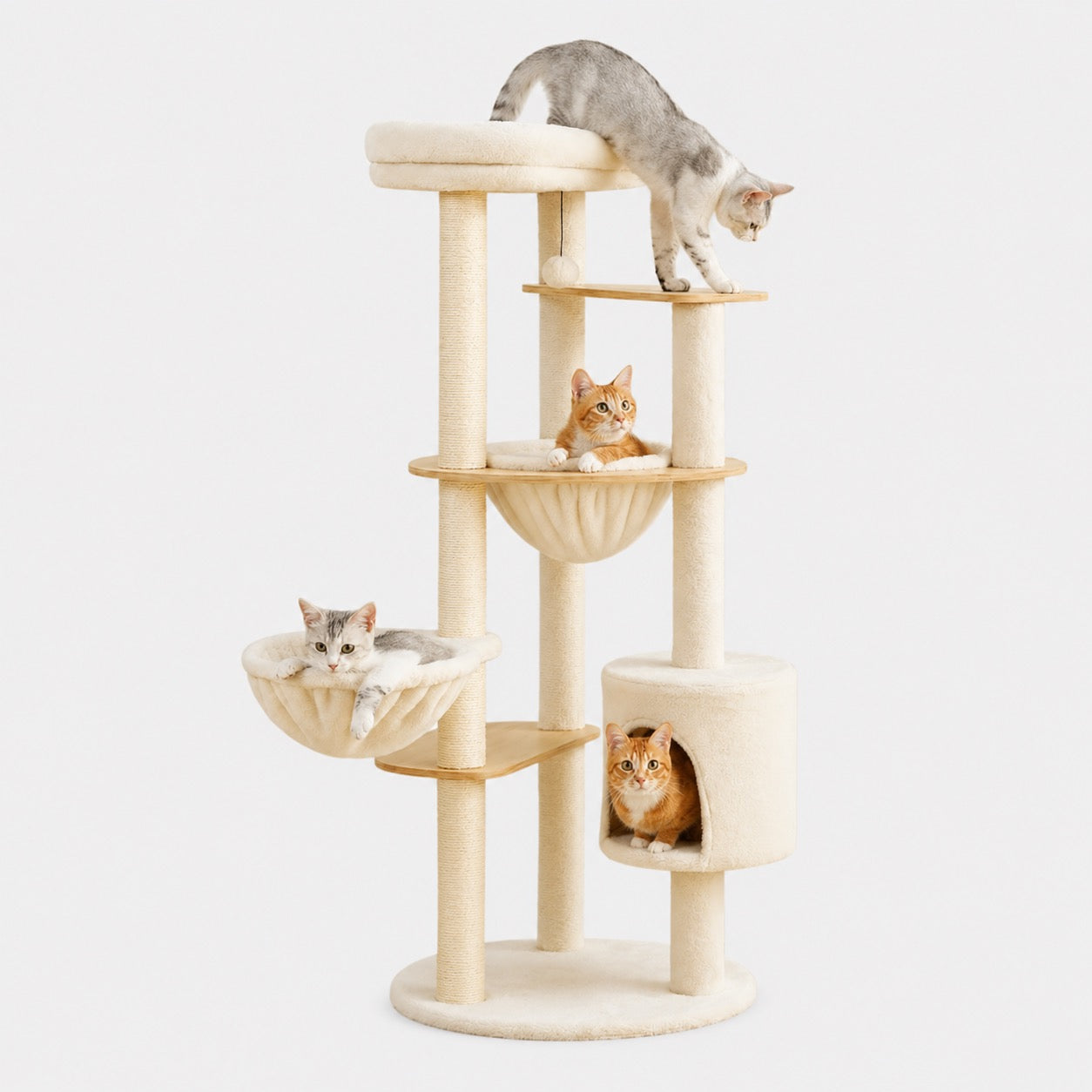 Arbre à Chat Stable et Design Multi-Niveaux