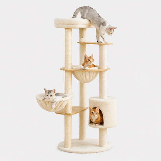 Arbre à Chat Stable et Design Multi-Niveaux