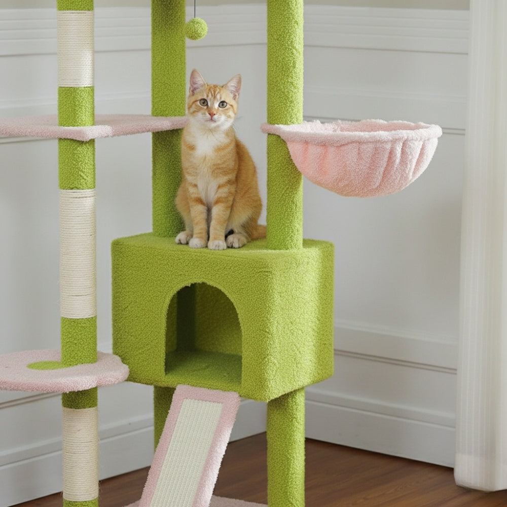 Arbre à Chat Plafond 230-255cm Hamac Bois | Vert | Perchoir Du Chat