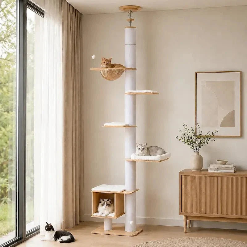 Arbre à Chat Stable Plafond - Griffoir et Hamac