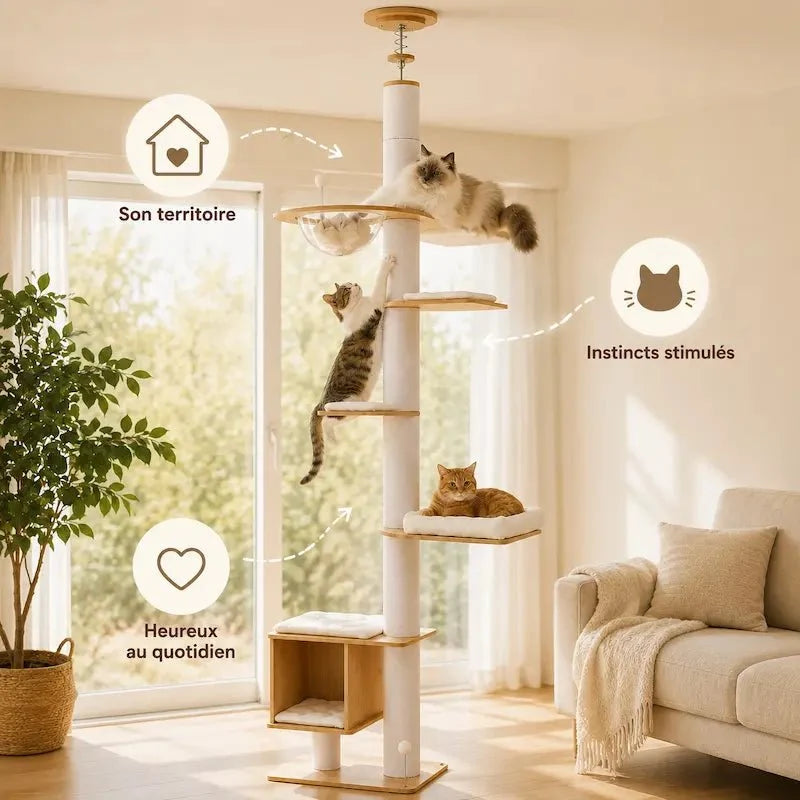 Arbre à Chat Stable Plafond - Griffoir et Hamac