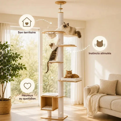 Arbre à Chat Stable Plafond - Griffoir et Hamac