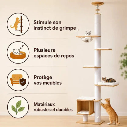 Arbre à Chat Stable Plafond - Griffoir et Hamac