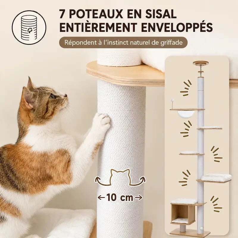 Arbre à Chat Stable Plafond - Griffoir et Hamac