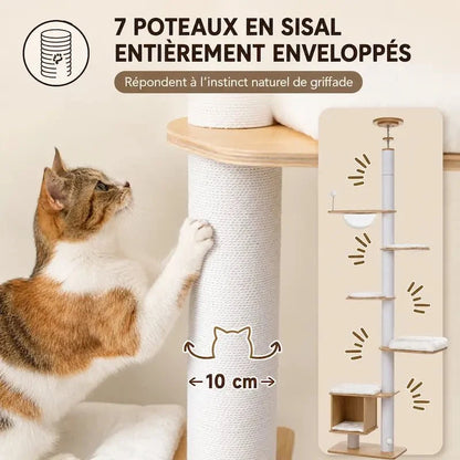 Arbre à Chat Stable Plafond - Griffoir et Hamac