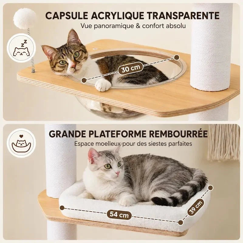 Arbre à Chat Stable Plafond - Griffoir et Hamac