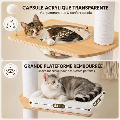 Arbre à Chat Stable Plafond - Griffoir et Hamac