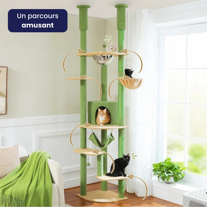 Arbre à Chat Plafond Réglable Hamac Bois | Vert | Perchoir Du Chat