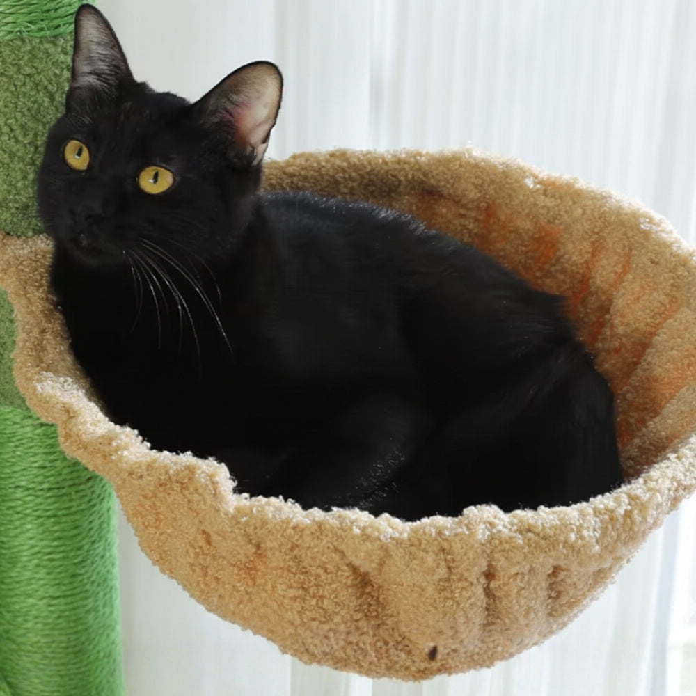 Arbre à Chat Plafond Réglable Hamac Bois | Vert | Perchoir Du Chat
