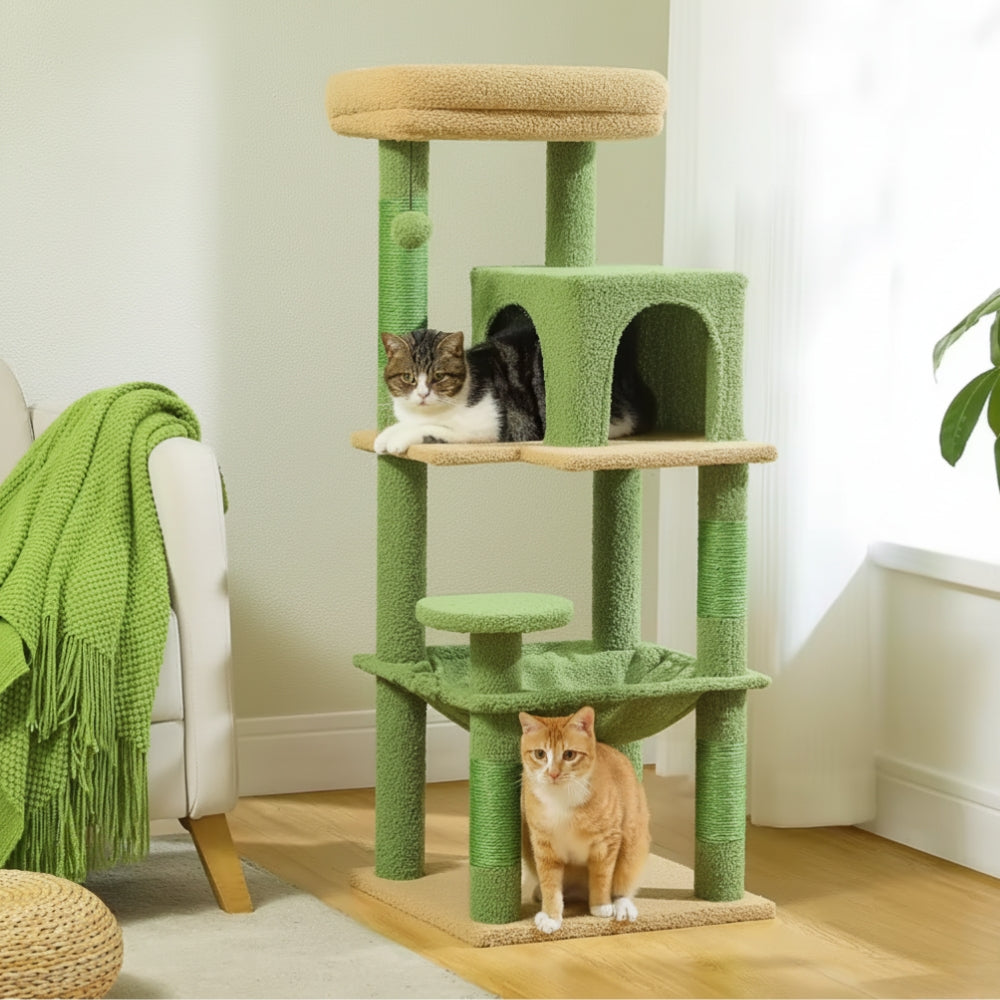 Arbre à Chat pour Maine Coon 116cm Hamac Bois | Vert | Perchoir Du Chat
