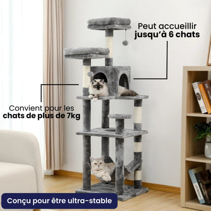 Arbre à Chat pour Maine Coon 154cm Hamac Bois | Gris Anthracite | Perchoir Du Chat