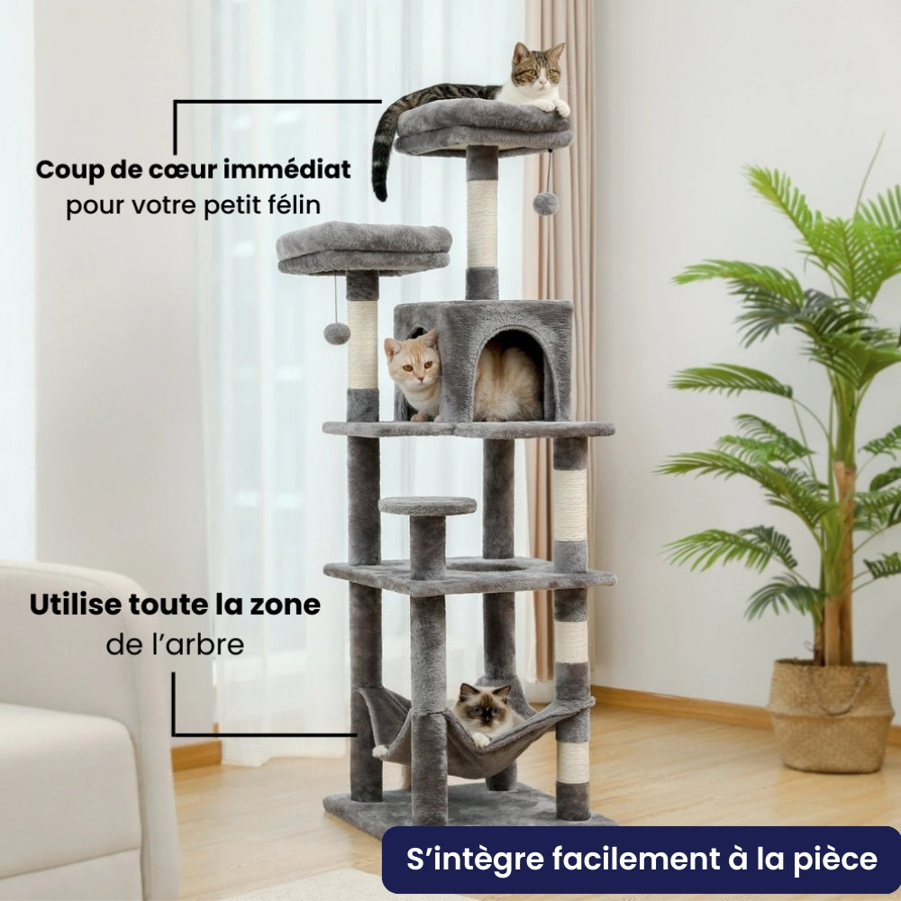Arbre à Chat pour Maine Coon 154cm Hamac Bois | Gris Anthracite | Perchoir Du Chat