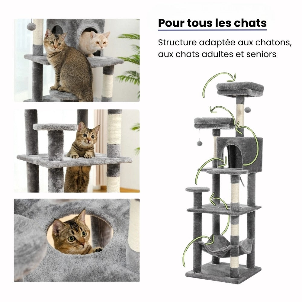 Arbre à Chat pour Maine Coon 154cm Hamac Bois | Gris Anthracite | Perchoir Du Chat