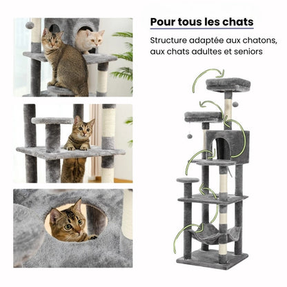 Arbre à Chat pour Maine Coon 154cm Hamac Bois | Gris Anthracite | Perchoir Du Chat