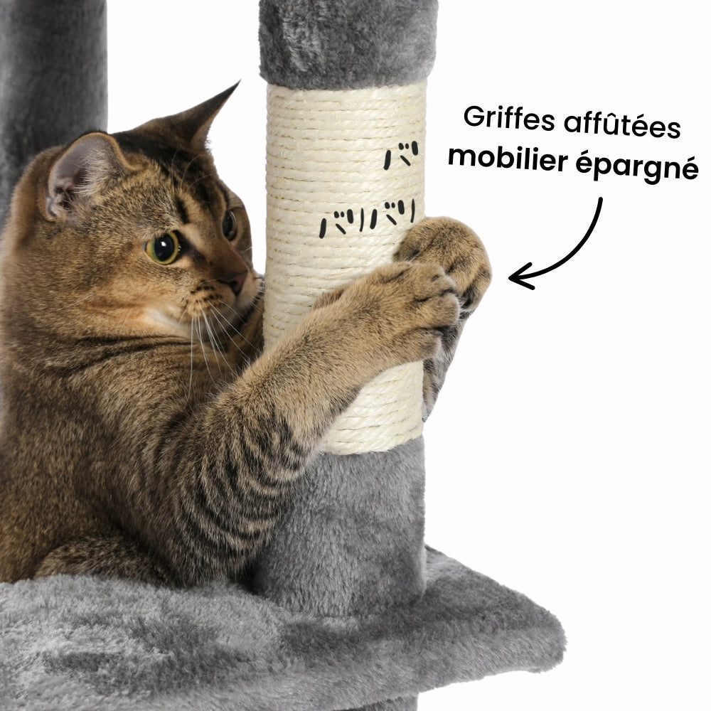 Arbre à Chat pour Maine Coon 154cm Hamac Bois | Gris Anthracite | Perchoir Du Chat
