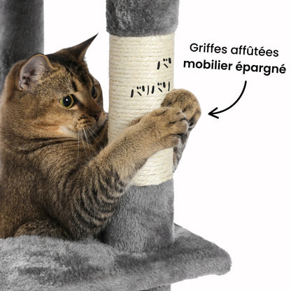 Arbre à Chat pour Maine Coon 154cm Hamac Bois | Gris Anthracite | Perchoir Du Chat