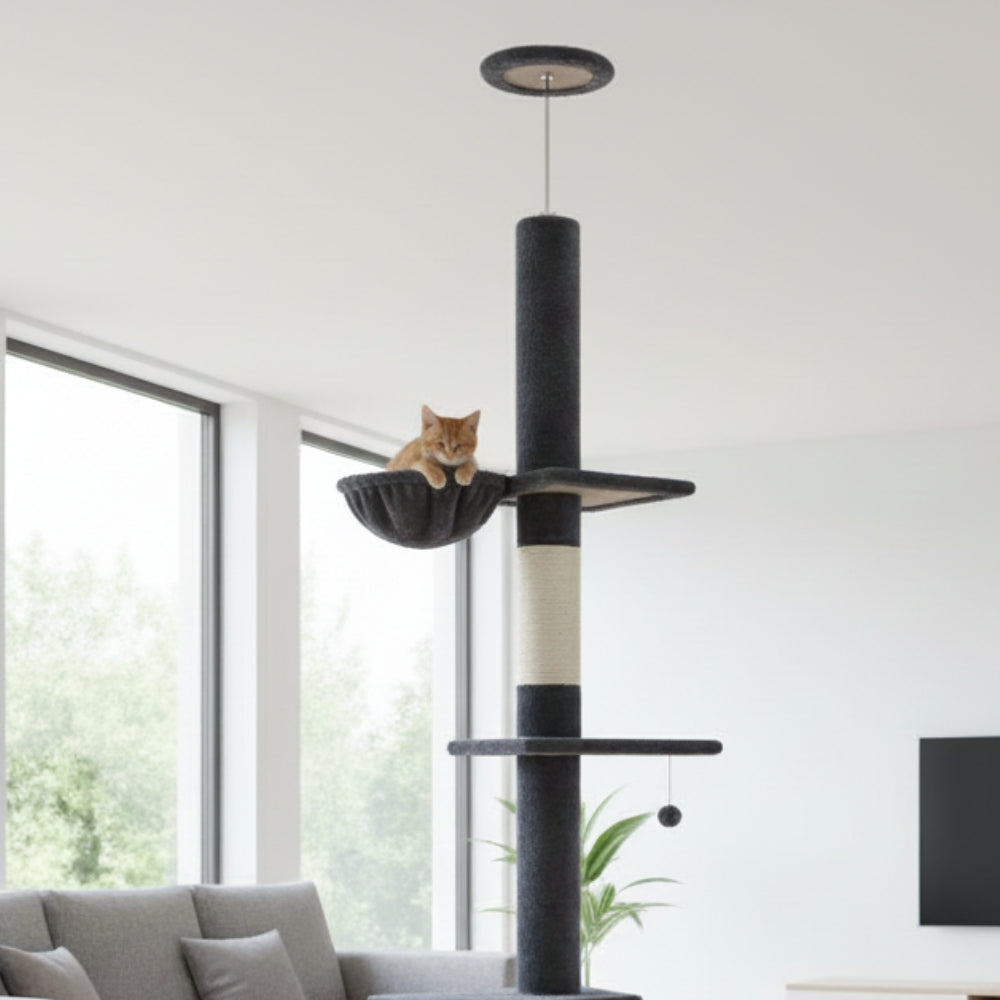 Arbre à Chat Sol Plafond 210-274cm Hamac Bois | Gris | Perchoir Du Chat