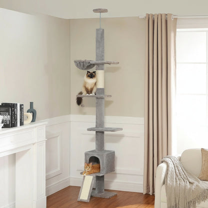 Arbre à Chat Sol Plafond Réglable Hamac Bois Clair | Gris | Perchoir Du Chat