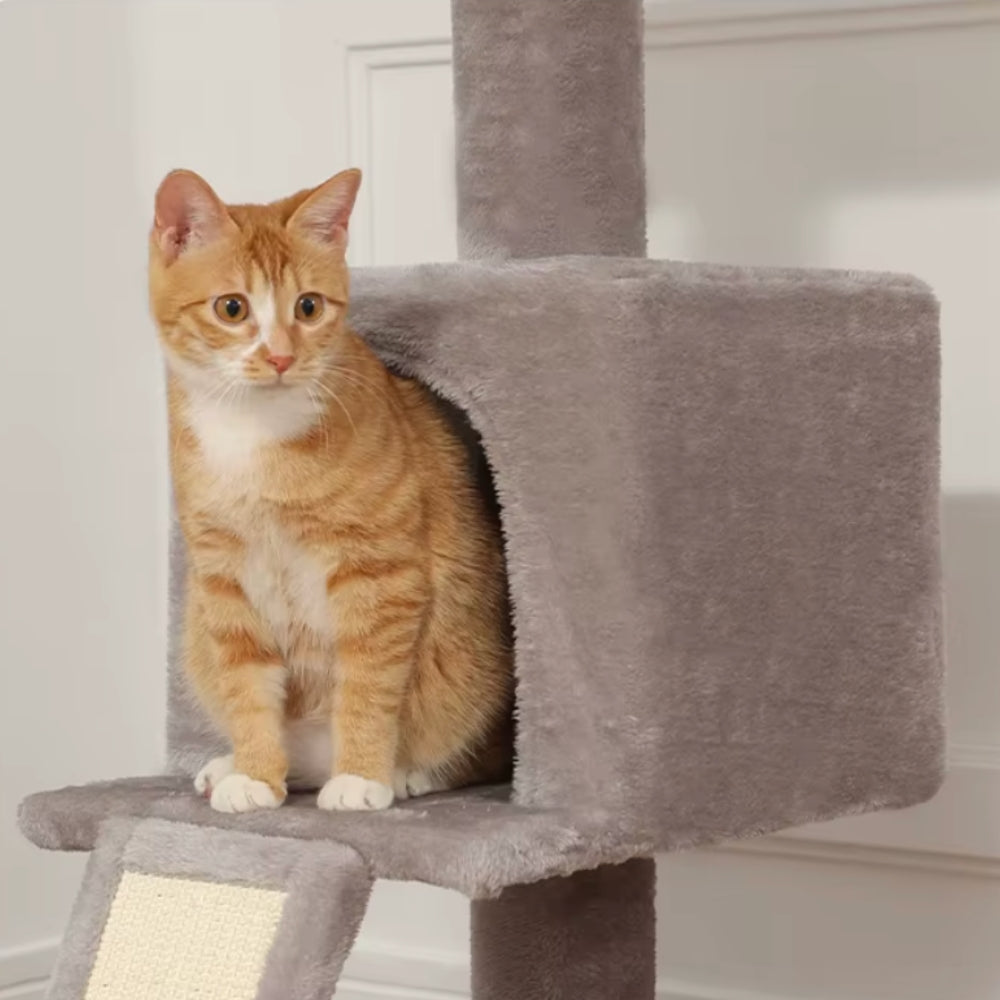 Arbre à Chat Sol Plafond Réglable Hamac Bois Clair | Gris | Perchoir Du Chat