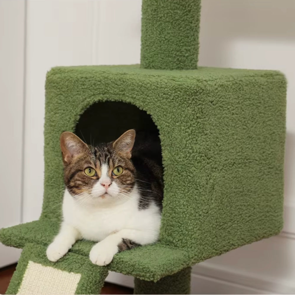 Arbre à Chat Sol Plafond Réglable Hamac Bois | Vert | Perchoir Du Chat