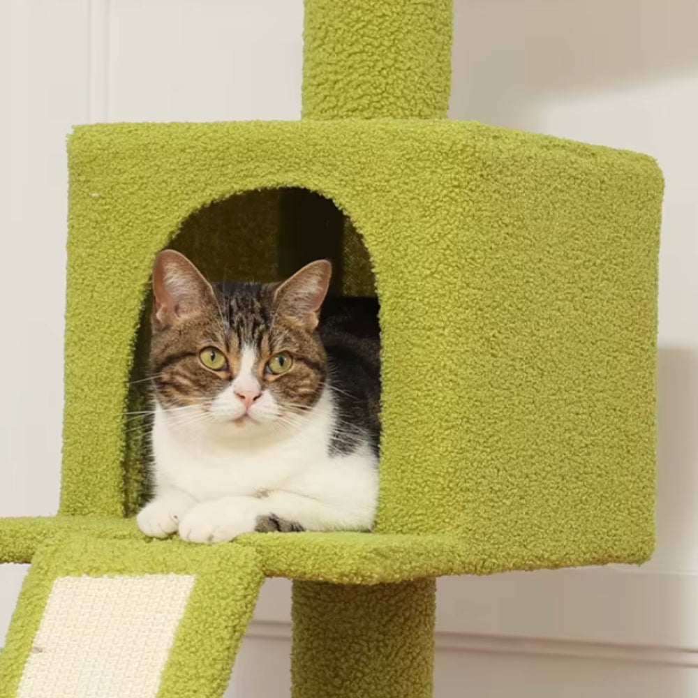 Arbre à Chat Sol Plafond Réglable Hamac Bois | Vert Rose | Perchoir Du Chat