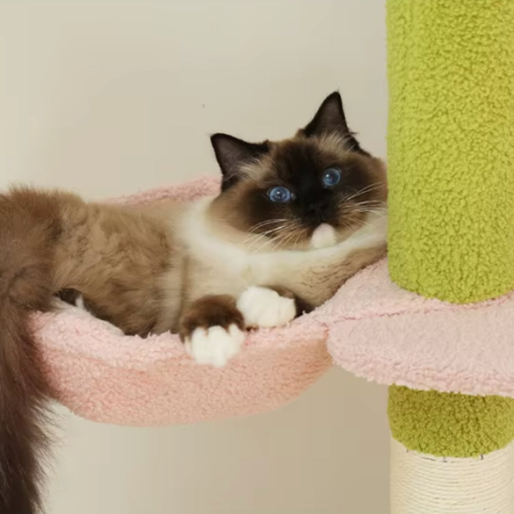 Arbre à Chat Sol Plafond Réglable Hamac Bois | Vert Rose | Perchoir Du Chat