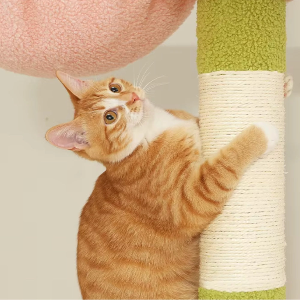 Arbre à Chat Sol Plafond Réglable Hamac Bois | Vert Rose | Perchoir Du Chat