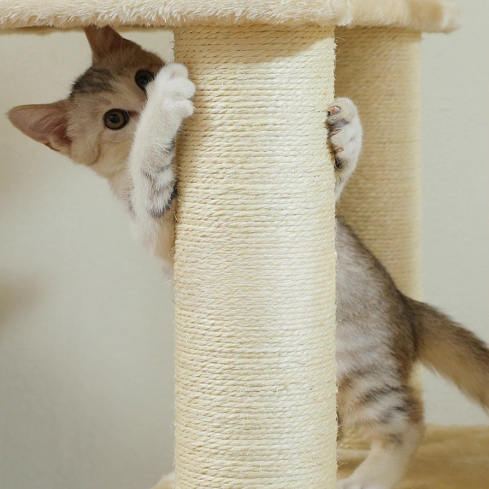 Arbre à Chat XXL 170cm Hamac Bois | Beige | Perchoir Du Chat
