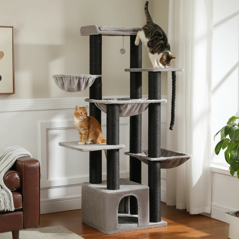 Arbre à Chat XXL 170cm Hamac Bois | Gris Noir | Perchoir Du Chat