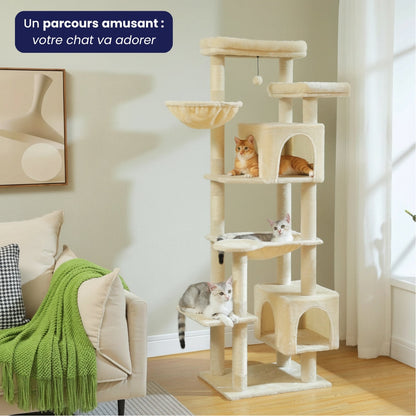 Arbre à Chat XXL 175cm Hamac Bois | Beige | Perchoir Du Chat