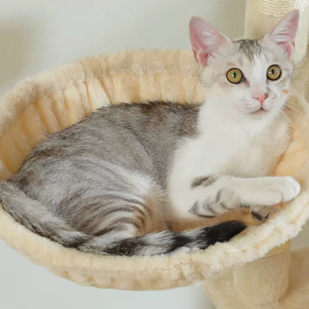 Arbre à Chat XXL 175cm Hamac Bois | Beige | Perchoir Du Chat